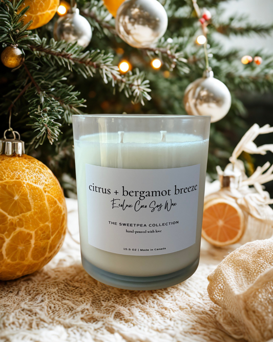 Citrus + Bergamot Breeze EcoLux Candle – Sophisticated Forest Air in a Jar